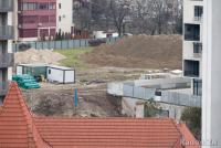 Imagine atasata: 26_0214_8258_Phl_4F.jpg